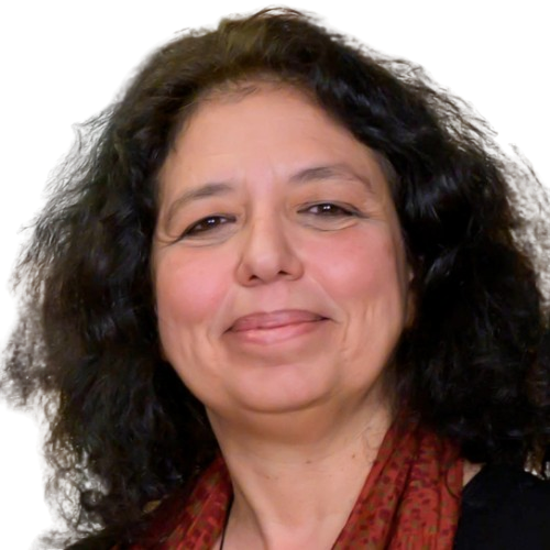 prof. lilian mitrou p-net.gr